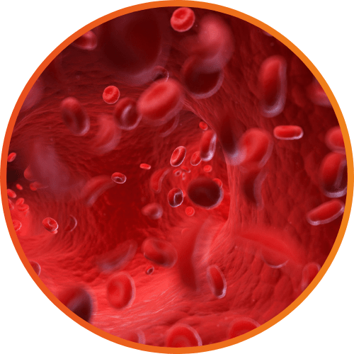 Passo 2 — Não coma por 5 minutos